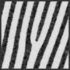 STEM image of gold structure defined by Electron Beam Lithography on thin silicon nitride membrane.
