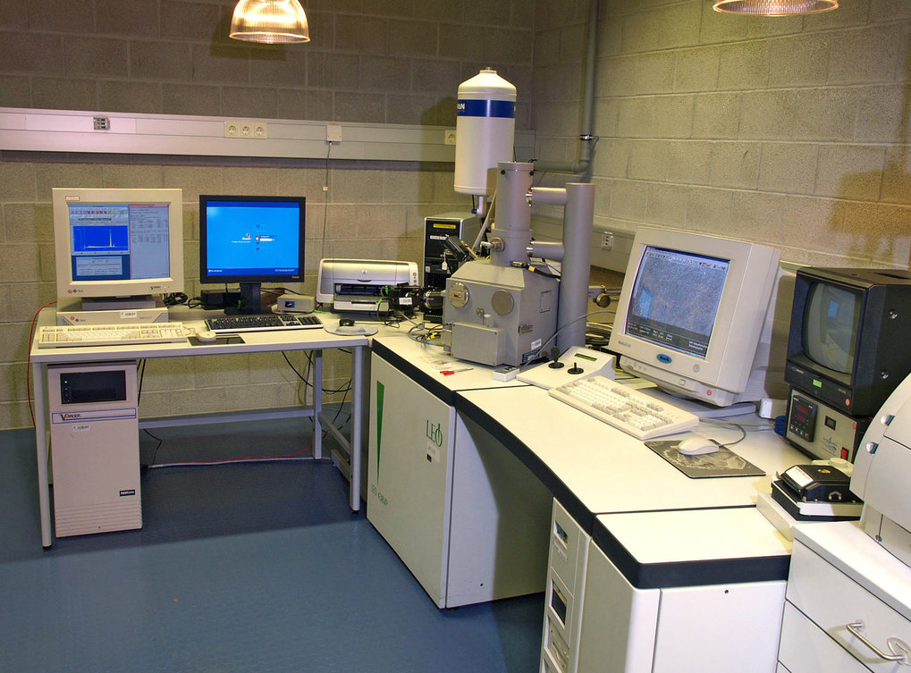 LEO 438VP SEM: 5 nm resolution, 90° tilt angle, EDX, BSE and OIM detectors.