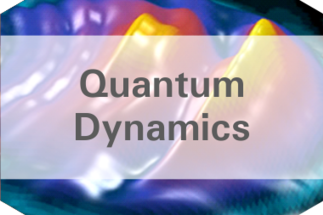 Quantum Dynamics