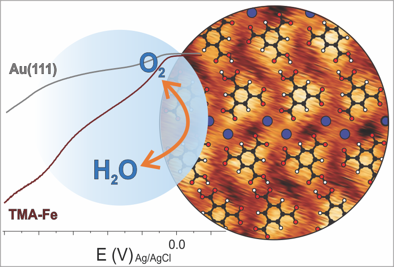 Bio-inspired nanocatalysts