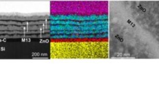 Induced-Assembly of Bacteriophage Arrays Using Carbon Thin Films