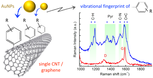 Local vibrational fingerprinting on functionalized single nanoobjects