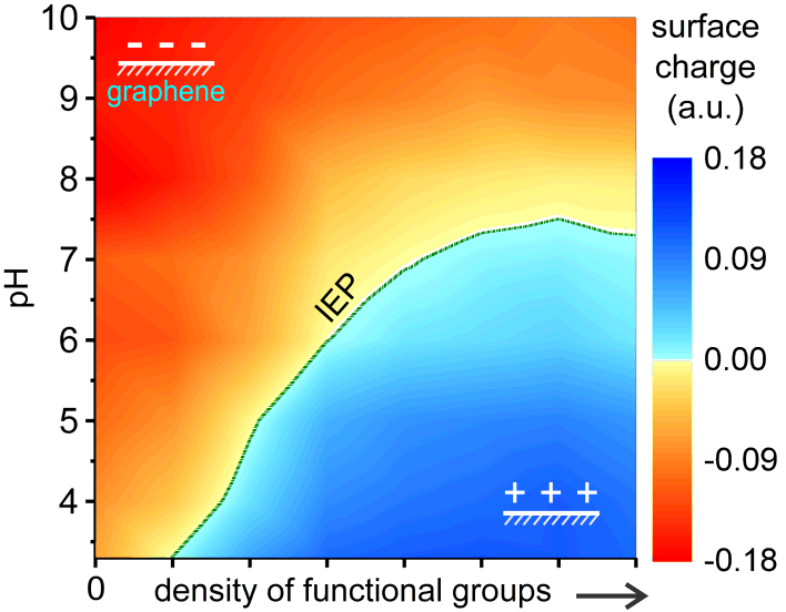 Tuning the isoelectric point of graphene