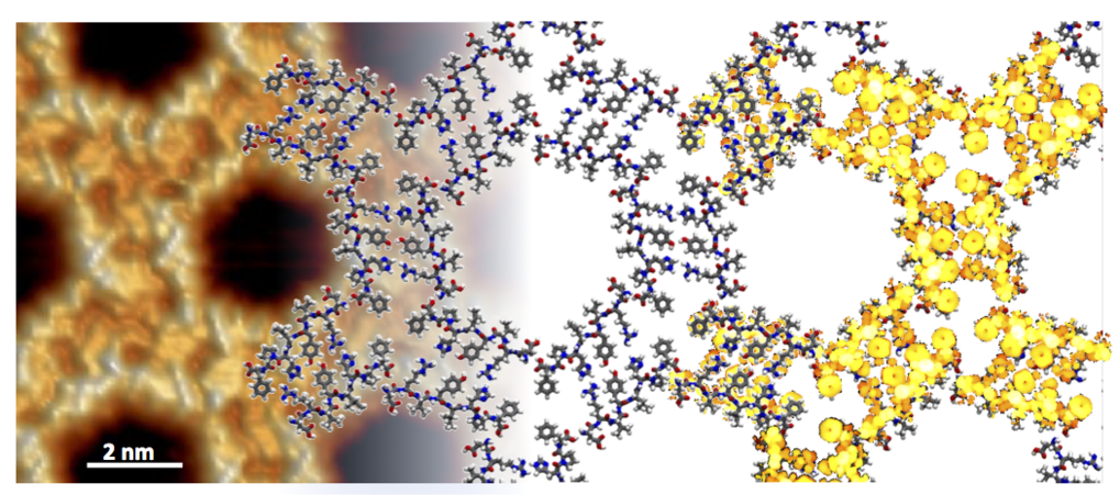 Two-Dimensional Honeycomb Network through Sequence-Controlled Self-Assembly of Oligopeptides