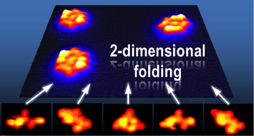 Peptide Folding in 2D