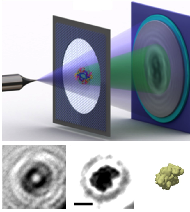 The First Glimpse of a Single Protein