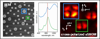 Apertureless SNOM Nanodisks