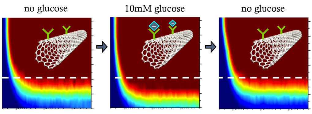 CNT Glucose Sensor