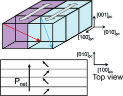 Figure 1: Schematics of possible orientations of the polarization vector in 71° stripe ferroelectric domains of BiFeO3 epitaxial films, yielding a well-defined in-plane projection of the net polarization.