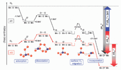 Energy (black) and free energy (red) profile for the most probable reaction pathway of oxygen incorporation on the LaMnO3 MnO2 (001) surface termination. The "bottleneck" (rate-determining step) is either the dissociation or the approach of an oxygen vacancy to adsorbed O- before the final incorporation step. From Kuklja et al (2013) with permission