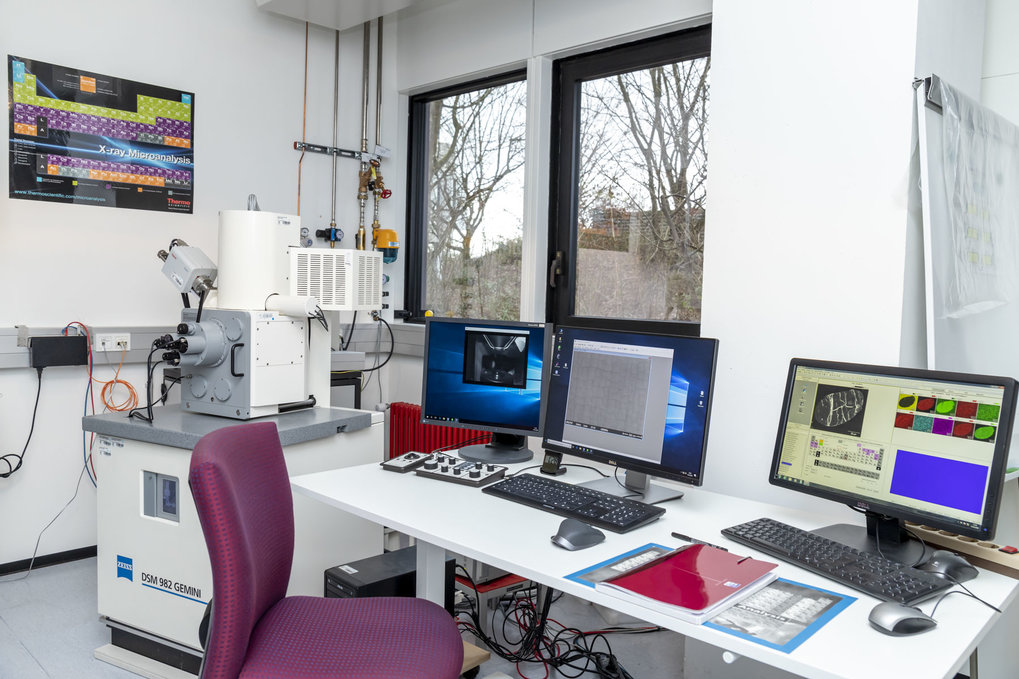 Zeiss DSM 982 Gemini: 1-4 nm resolution, -15° to + 90° tilt range, EDX and BSE detectors.