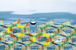 Quantenflüssigkeit mit gekoppelten Spin- und Bahnmomenten nachgewiesen in H3LiIr2O6.