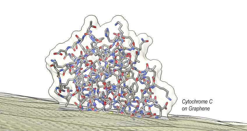 Molecular Simulation