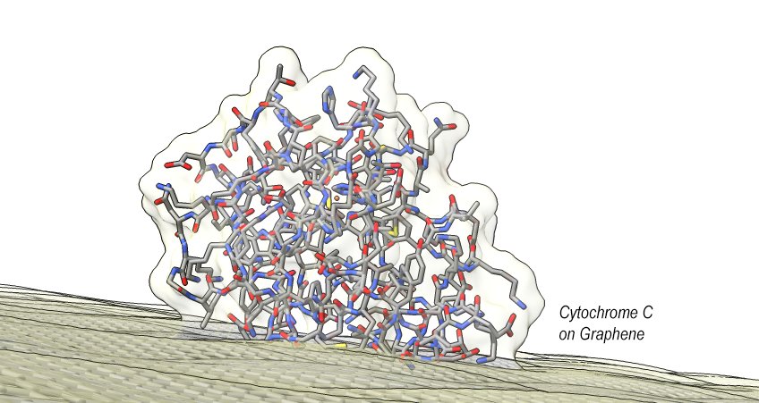 Molecular Simulation Molecular Simulation
