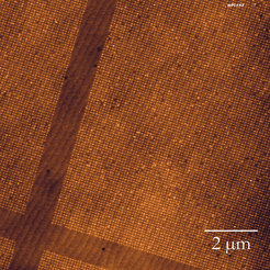 AFM micrograph of epitaxially-grown SrRuO3 nanodot arrays on SrTiO3. Atomic terraces of the substrate are visible. The width of the terrace is ≈ 250 nm.
