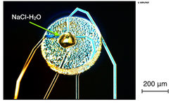 Photograph of a sample with 16 integrated capacitors after deposition of NaCl, before H2O deposition. The green arrows point to three of the capacitors (small bright dots).