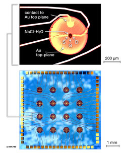 Two images.
Top: Optical microscopy images of a ZnO-field-effect transistors with integrated NaCl-H2O dielectrics (arrow). These transistors have channel lenghts l≈10–20 μm.
Bottom: Optical microscopy images of a chip containing 16 FETs.