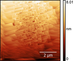 AFM micrograph of a NdGaO3 surface after heating to 1050 °C in 7.5 Pa of oxygen.