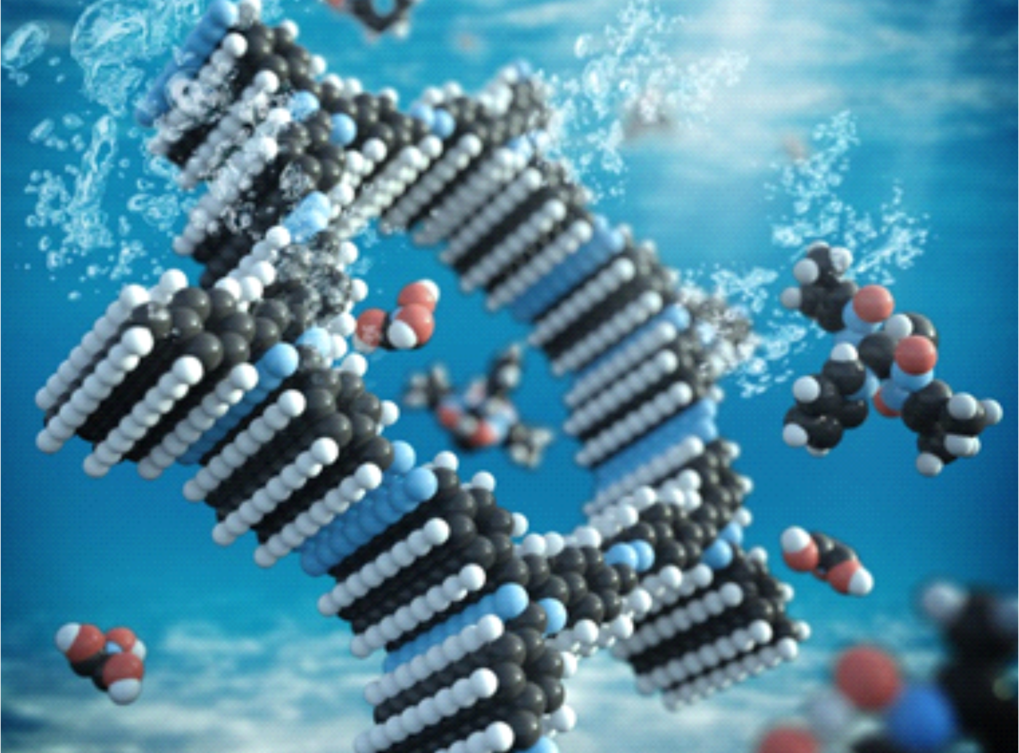 The first single-site heterogeneous COF-based system for photocatalytic H2 evolution Journal of the American Chemical Society 139, 16228-16234 (2017) © Christoph Hohmann, Nanosystems Initiative Munich