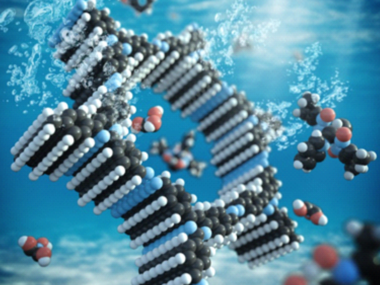 Artificial photosynthesis for solar fuels.