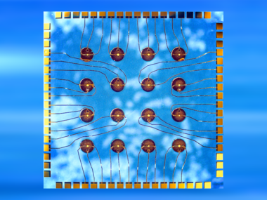 Integrated Circuits Comprising Patterned Functional Liquids