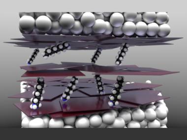 Tracking molecular diffusion in 1D photonic crystals.