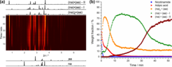 (a) Time resolved 2D XRPD plot of the mechanochemical formation of a pharmaceutical cocrystal with calculated XRPD patterns of the individual phases above and below the 2D plot. (b) Result of the sequential Rietveld analysis.