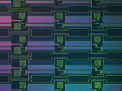 Fig. SNAP:Optical microscopy image (interference contrast) of a monolithically integrated all-oxide NMOS chip, showing sections of five ring-oscillators. The field effect transistors of these integrated circuits are based on the conducting, two-dimensional electron liquid formed at LaAlO3/SrTiO3 interfaces.The long side of the image equals ~2.5 mm.