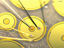 Figure 1: Device layout
Photograph of a typical Au–LaAlO3–SrTiO3 tunnel device. The broad golden ring lies on top of the LaAlO3 layer, which serves as a tunnel-barrier between the 2DEL and the Au. The outer ring and the center contact of the device are Au-covered Ti contacts to the 2DEL.