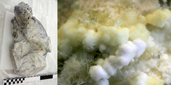 White efflorescences of calcium acetate hemihydrate were found on a fragment of a shepherd from Giuseppe Torretti’s relief.