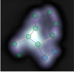 Branched sugar: the image of a scanning tunneling microscope shows the orientation of the four branches of an elevenfold sugar consisting of two different building blocks (green circles and blue squares).