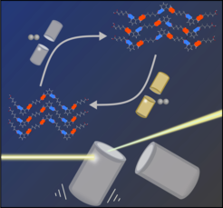 The result of mechanochemical synthesis can be altered simply by selecting different milling jars and balls. Using the bright X-ray light from PETRA III (shown in green), the team was able to follow the formation of different polymorphs live.