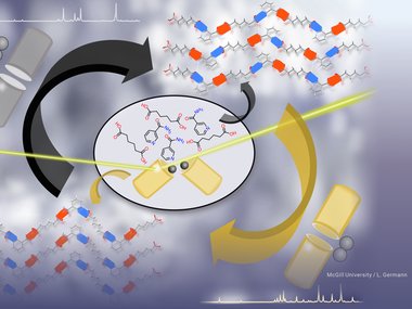 Challenging the Ostwald rule of Stages in Mechanochemical Cocrystallisation