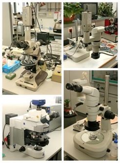 Optical Microscopes