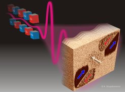 Four-magnetic-domain pattern switched by a FELIX pulse.