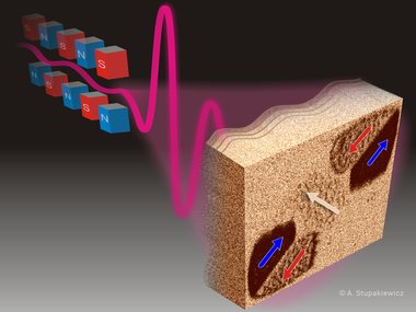 Ultrafast phononic switching of magnetizationNature Physics (2021)