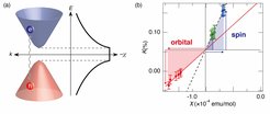 (a) Schematic energy dispersion of a massive Dirac electron band (left) and the expected giant orbital diamagnetism as a function of the Fermi level (right). (b) Knight shift vs magnetic susceptibility plot for three samples with different hole densities. The large orbital contribution (red arrows) is successfully separated from the spin contribution (blue arrows).