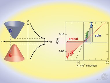 Giant orbital diamagnetism of three-dimensional Dirac electrons in Sr3PbO antiperovskite