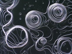 Abstract spiral patterns on a dark background.
Sapphire Hanoi towers:
Optical image of a recrystallized sapphire surface.
Using a CO2 heating laser, substrates for thin-film growth can be heated to very high temperatures. The laser can easily melt sapphire (Al2O3), which happens at a temperature of 2040 °C. After sustaining a small ‘melt pool’ on the sample surface for about 15 minutes, the laser was switched off abruptly. This rapidly freezes the molten surface, yielding a variety of objects in many shapes and sizes. In this particular image, stacks of disks have emerged, reminiscent of the disk-stacking puzzle of the ‘Hanoi towers’ (inset). The shapes and sizes of such structures are dictated by the balance of surface energies in a solid-state crystal.
