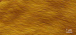 Parallele Ordnung: Das Bild eines Rasterkraftmikroskops zeigt, dass sich die Nanofasern in dem keramischen Papier vorzugsweise in eine Richtung orientiert aneinander lagern.