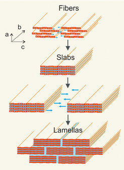 Bruchfest und biegsam wird das Material dank seiner Nanostruktur: Die Nanofasern lagern sich zu plankenförmigen Platten zusammen, die sich in Schichten versetzt übereinander stapeln. Im Querschnitt weist das Material daher die Struktur einer Ziegelmauer auf, in der die Keramikplatten von Wasser zusammengehalten werden.