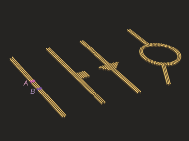 Decoherence Effects Break Reciprocity in Matter Transport