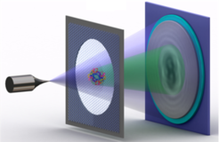 Schema der Elektronen-Holografie einzelner Proteine: Eine Metallspitze, deren Ende nur aus wenigen Atomen besteht, sendet einen Strahl vergleichsweise langsamer, also energiearmer Elektronen aus. Einen Teil des Strahls wird an dem Protein auf einem Graphen-Träger gestreut. Der gestreute Teil des Strahls erzeugt mit dem nicht-gestreuten Teil dann ein Interferenzmuster – das Hologramm, das aufgezeichnet wird.
