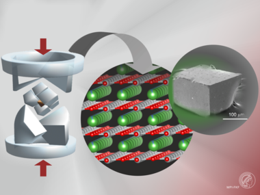 Topotactic transformation of single crystals: From perovskite to infinite-layer nickelates