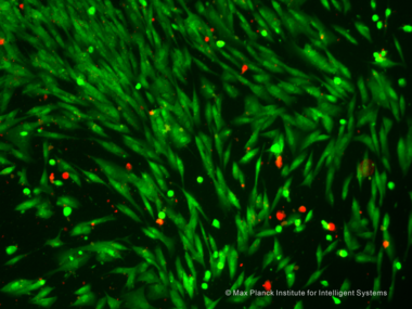 https://is.mpg.de/news/on-the-spot-drug-delivery-with-light-controlled-organic-microswimmers