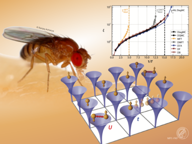 "Everything should be made as simple as possible, but not simpler." – A computational perspective on the fruit fly of electronic correlations