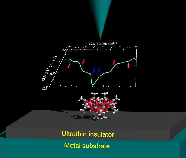 Quantum Magnetism of Individual Molecular Magnets
                                                                                        