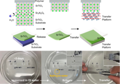 Figure 1: Step by step visualization of the transfer process of releasing and transferring a freestanding oxide membrane onto a new substrate. The top panel shows a schematic of how the lift-off of the membrane works by dissolving the water soluble aluminate layer and the bottom panel shows each of the transfer steps photographically.
