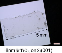 Figure 2: A transferred SrTiO3 membrane of 2 mm x 5 mm lateral size and a thickness of 8 nm, on a silicon chip.