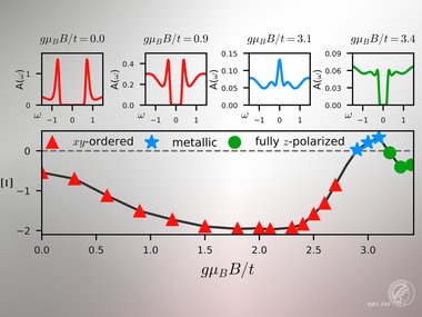 Magnetism and metallicity in moiré transition metal dichalcogenides